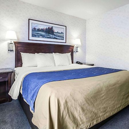 Comfort Inn Bellingham Exterior foto