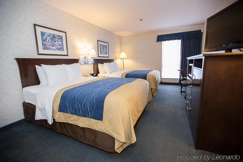 Comfort Inn Bellingham Exterior foto