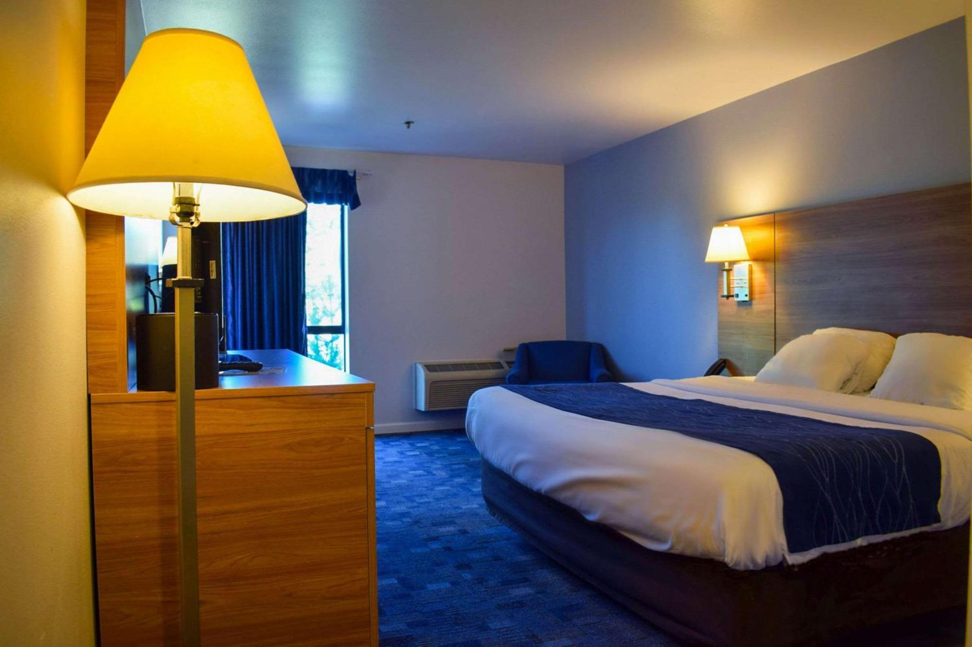 Comfort Inn Bellingham Exterior foto